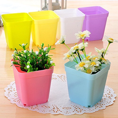 Flower Pots Flower Pots